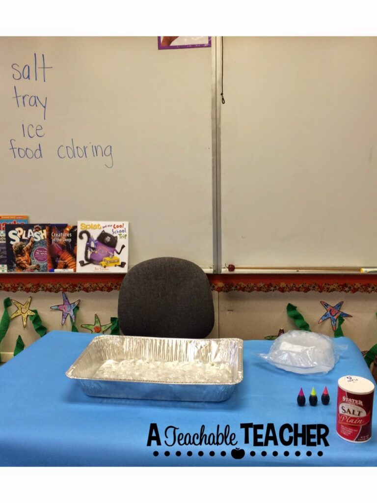 Penguin Day in the Classroom