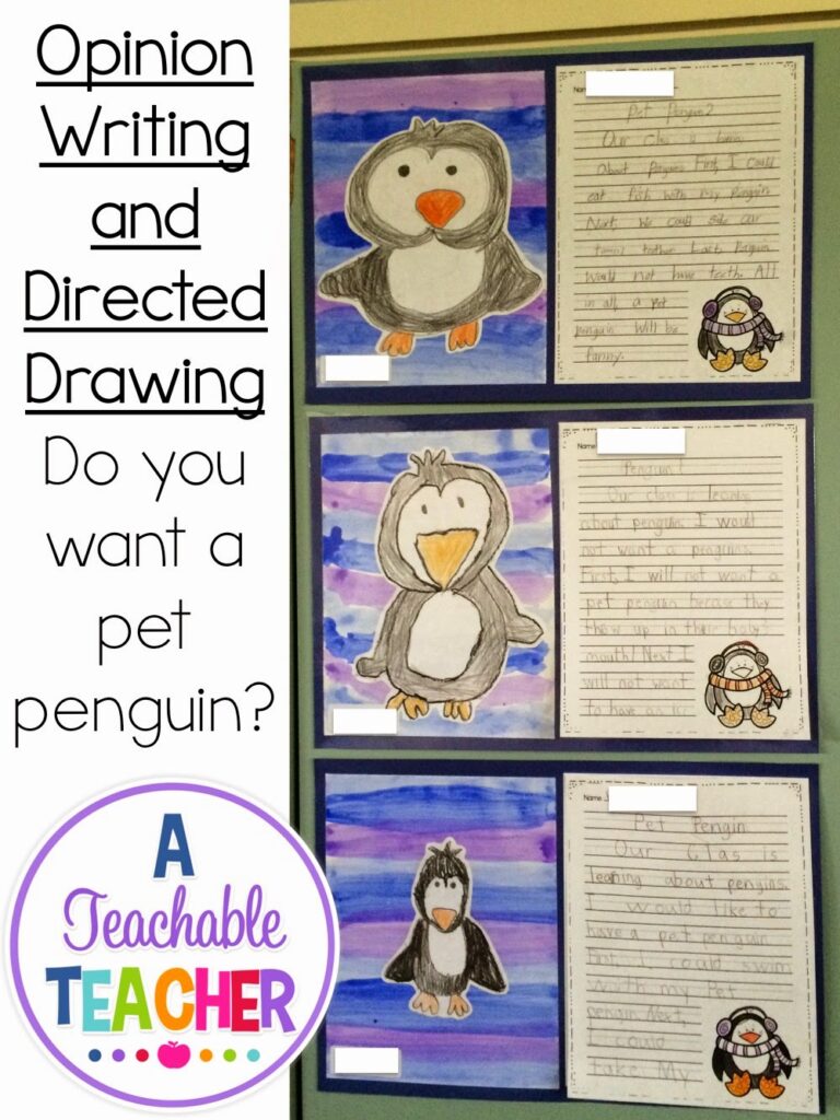 opinion writing and directed drawing