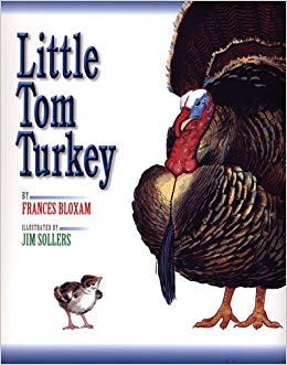 turkey read alouds for preschool kindergarten 