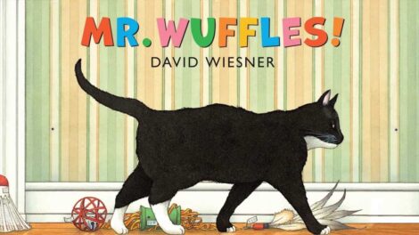 Mr. Wuffles